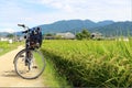 Bicycle, rice grains, and some Japanese houses