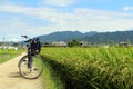 Bicycle, rice grains, and some Japanese houses