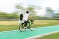 Bicycle rider on a bicycle path in park