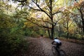 Bicycle riders in autumn park Royalty Free Stock Photo