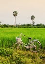 A bicycle on the rive field