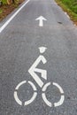 Bicycle road sign and arrow bike lane symbol,bike lane in the garden sightseeing and ride bike in the park. Royalty Free Stock Photo