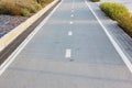 Bicycle road sign on asphalt Bicycle path in the morning in the city in summer with elms Direction of movement of the