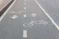 Bicycle road sign on asphalt Bicycle path in the morning in the city in summer with elms Direction of movement of the Royalty Free Stock Photo
