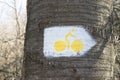 Bicycle route pointer