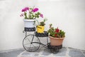 Bicycle shape flower pot on white