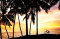 Bicycle silhouette on the beach