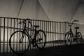 Bicycle Silhouettes against Railing at Night