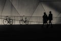 Bicycle Silhouettes against Railing at Night