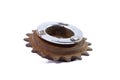 Bicycle single speed freewheel sprocket