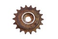 Bicycle single speed freewheel sprocket