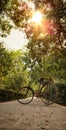 A bicycle standing in the middle of the beautiful road covered with trees