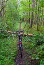 Bicycle standing on trail infront of fallen tree trunk
