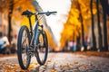 Bicycle stands on tiled road in city park on sunset autumn landscape background Royalty Free Stock Photo