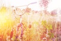 Bicycle in Summer grass field classic bicycle,old bicycle style. Royalty Free Stock Photo