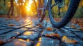 Bicycle at sunset on the road in the park. Closeup wheel on blurred summer background. Cruising to work in the evening Royalty Free Stock Photo