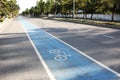 Bicycle Symbol on the Road as Bike Lane indication