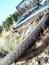 bicycle tire close up on grass background Royalty Free Stock Photo