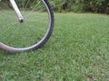 Bicycle tire on grass