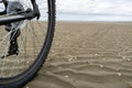 A bicycle tire lying on a seashell-strewn sandy shore, conveying the idea of cycling adventures in overcast weather