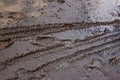 Bicycle tire tracks in the mud Royalty Free Stock Photo