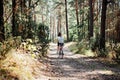 Bicycle Tourism. Road Biking Trails. Bicycles for rent. Single woman riding bike in pine forest in sunny day Royalty Free Stock Photo