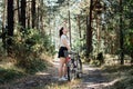 Bicycle Tourism. Road Biking Trails. Bicycles for rent. Single woman riding bike in pine forest in sunny day Royalty Free Stock Photo