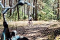 Bicycle Tourism. Road Biking Trails. Bicycles for rent. Single woman riding bike in pine forest in sunny day Royalty Free Stock Photo