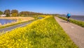 Bicycle track with cyclist with yellow flowers