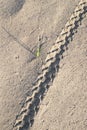 Bicycle track and grass blade Royalty Free Stock Photo