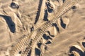 Bicycle tracks on a sand in summer Royalty Free Stock Photo