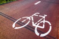 Bicycle traffic signal, road bike Royalty Free Stock Photo