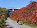 Bicycle trail in fall