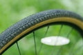 Bicycle tubeless tire with sealant, close-up