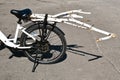 Bicycle used to transport branches from a birch tree