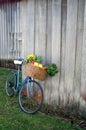 Bicycle and Vegetables Royalty Free Stock Photo