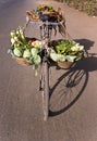 Bicycle & Vegetables Royalty Free Stock Photo