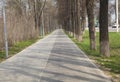 Bicycle and walking paths in spring Park Royalty Free Stock Photo