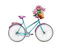 Bicycle Watercolor Royalty Free Stock Photo