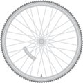 Bicycle Wheel