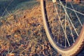 Bicycle wheel close-up on impassability in an autumn forest. Royalty Free Stock Photo