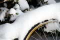 Bicycle Wheel Covered in Snow
