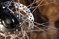 Bicycle wheel with elements closeup: disc brakes, spokes, reflector.