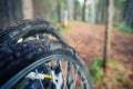 Bicycle wheel in forest dirt