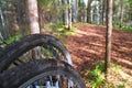 Bicycle wheel in forest dirt