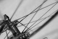 Bicycle wheel in motion as abstract background Royalty Free Stock Photo