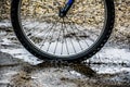 Bicycle Wheel in Rain Puddle