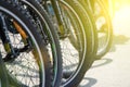 Bicycle wheel in a row close-up wheel detail, bicycle spoke. Royalty Free Stock Photo