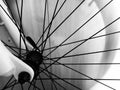 Bicycle wheel, spokes. Bike.Mountain bike. Black and white wheel with spokes.Sport. Royalty Free Stock Photo