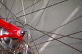 Bicycle wheel spokes